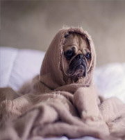 周口有这样的手机号码，留不住钱，你中枪了吗？