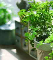 周口专属于你的开运指南，助你鸿运当头福满身！