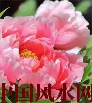 周口预示你财运上升，姻缘可成的梦境，快来看看吧！