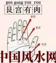 周口这个地方肉越多，财运就越好