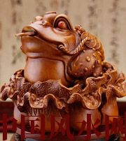 周口解读金蟾最合适的位置，这样摆放更招财！