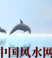 周口做梦梦到这些，是要富裕的征兆！